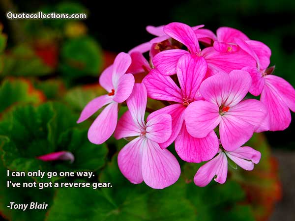 Tony Blair Quotes5